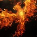 Profile picture of SoulOfFire