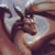 Profile picture of Redalgo