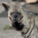 Profile picture of Madeline Plouffe