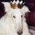 Profile picture of eida ✧˖°
