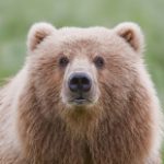 Profile picture of Brandon