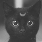 Profile picture of Jessica