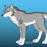 Profile picture of Palla