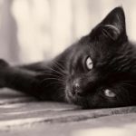 Profile picture of Hayley