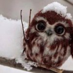 Profile picture of charlie