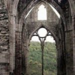 Profile picture of Afrondae Ang