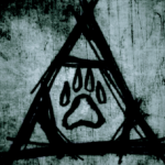 Profile picture of James