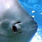 Profile picture of Tyler