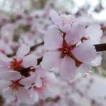 Profile picture of Yuki