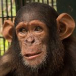 Profile picture of Tony