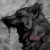 Profile picture of Akuma Ōkami
