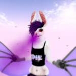 Profile picture of Equin