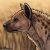 Profile picture of Alez